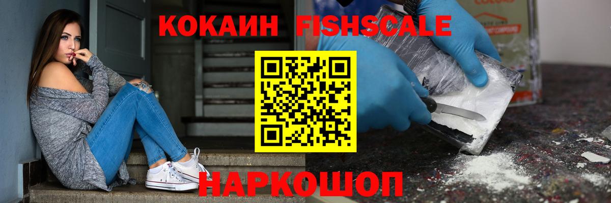 хочу наркоту  Вход с VPN  Кокаин FishScale  Котовск  Кокаин FishScale 