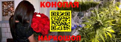 Альфа ПВП Комсомольск-на-Амуре