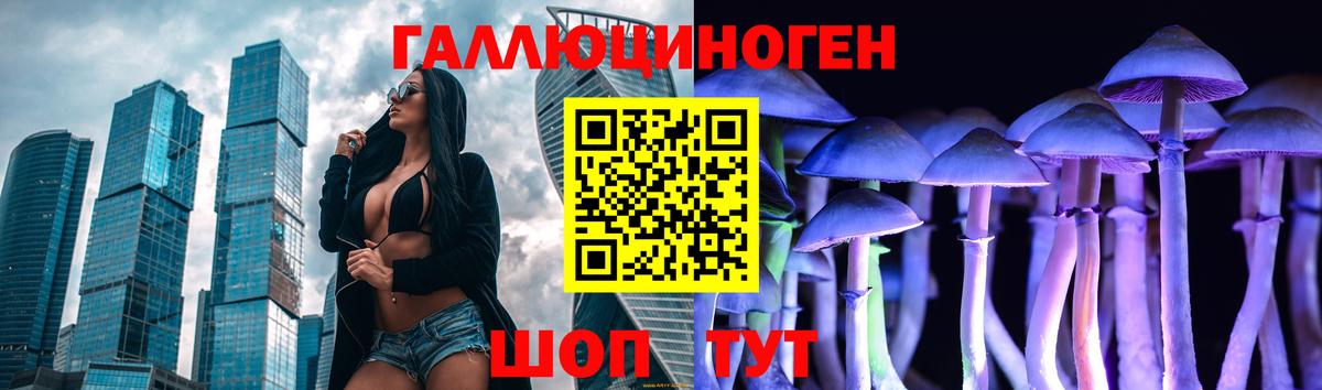 Котовск  Псилоцибиновые грибы Magic Shrooms  Вход с VPN 